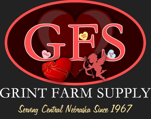 GFS Logo